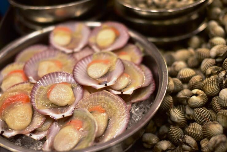تصویر 1 از خرید و قیمت انواع کنسرو صدف لب‌ مرواریدی